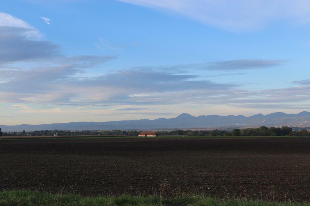 "Les Monnats" Gite 8 Personnes A La Campagne Chaptuzat Exteriör bild